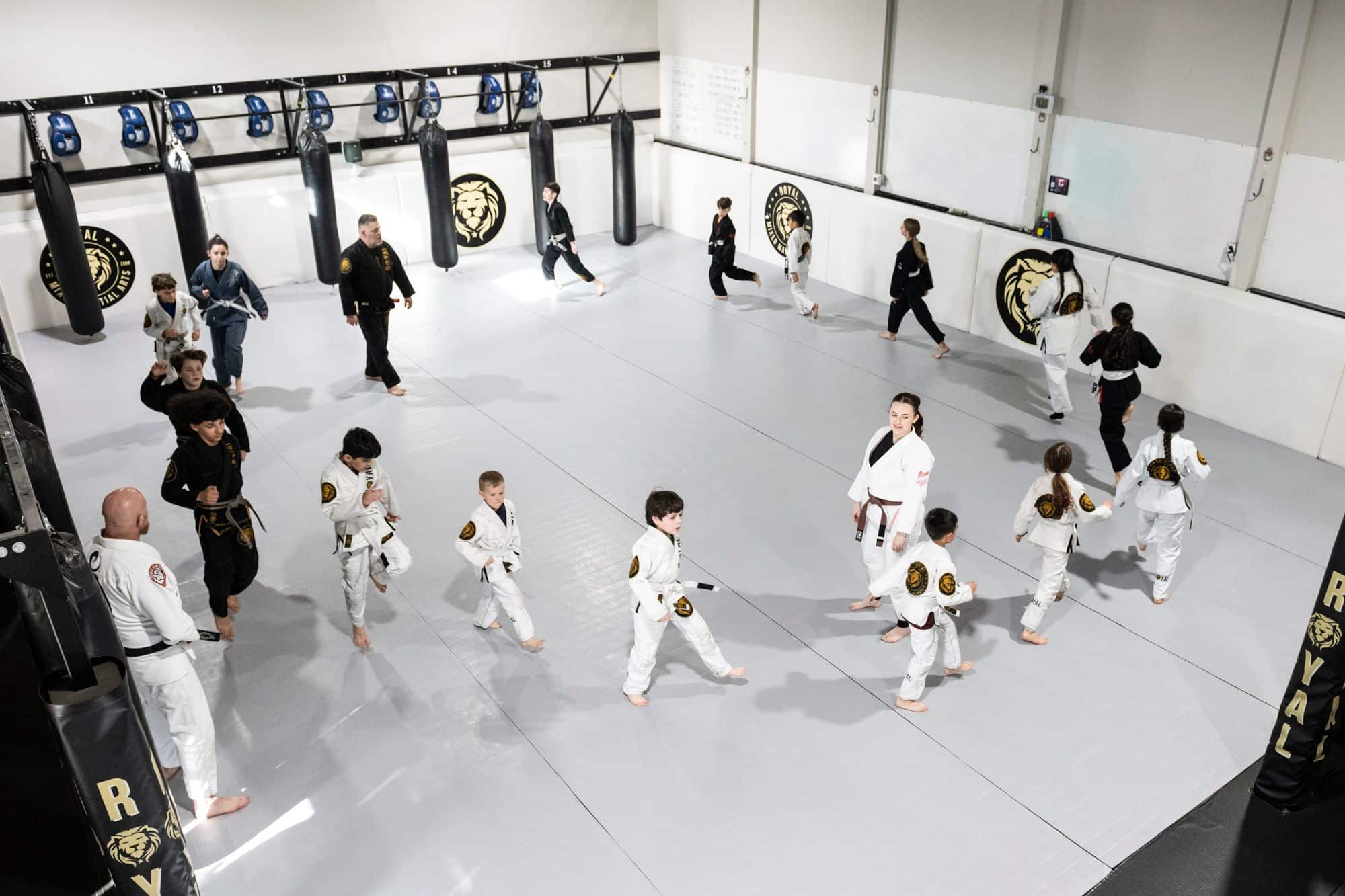 overview of Royal Mixed Martial Arts kids Brazilian jiu jitsu class