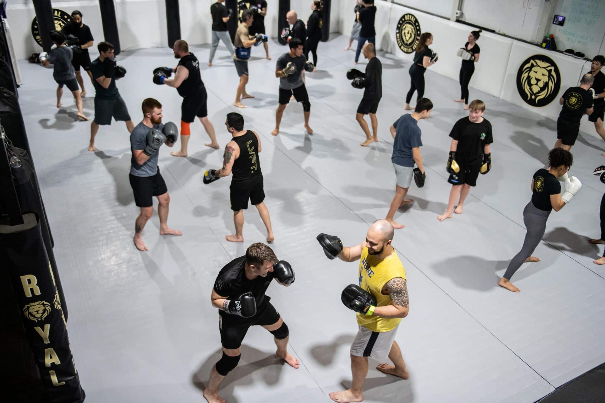 Royal Mixed Martial Arts students overview during boxing class