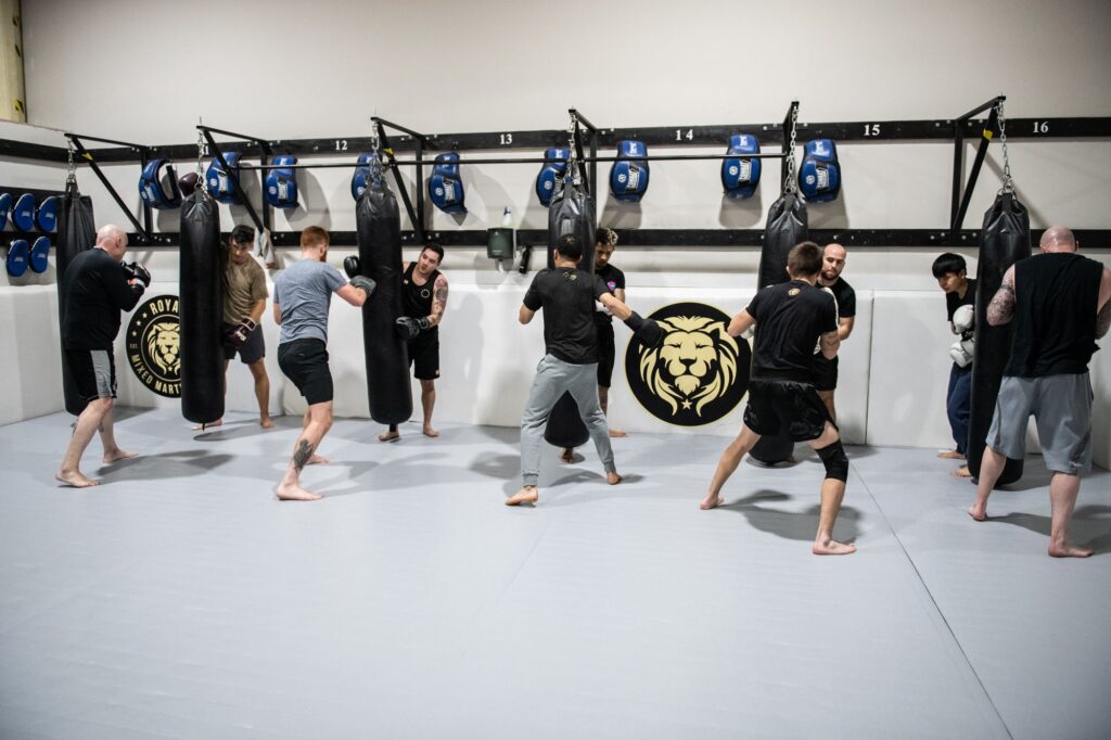 line up of boxing students at Royal Mixed Martial Arts hitting punching bags